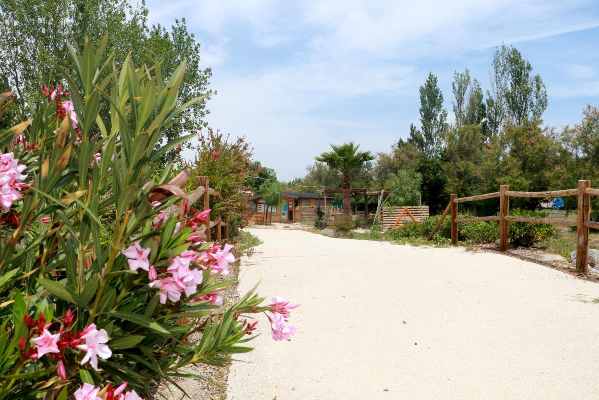 Sandilou Lespetitsbonheurs 2 Chambres Climatise Tv Sigean Exterior photo